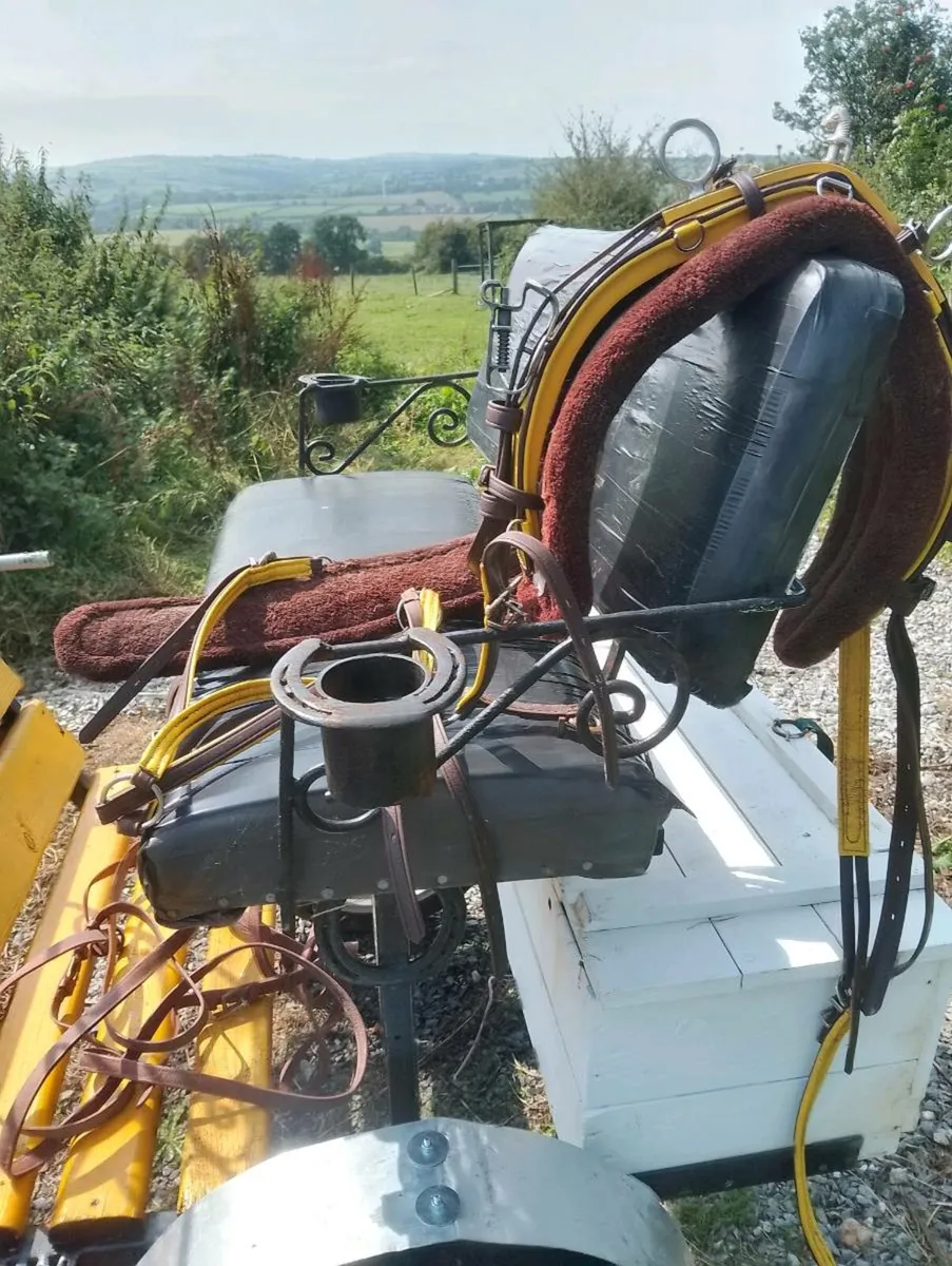 Pony's Road cart& Harness - Image 3