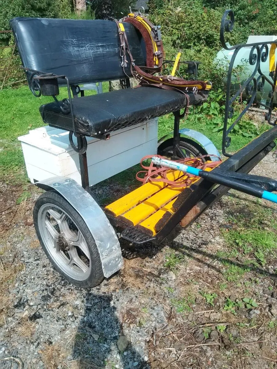 Pony's Road cart& Harness - Image 4