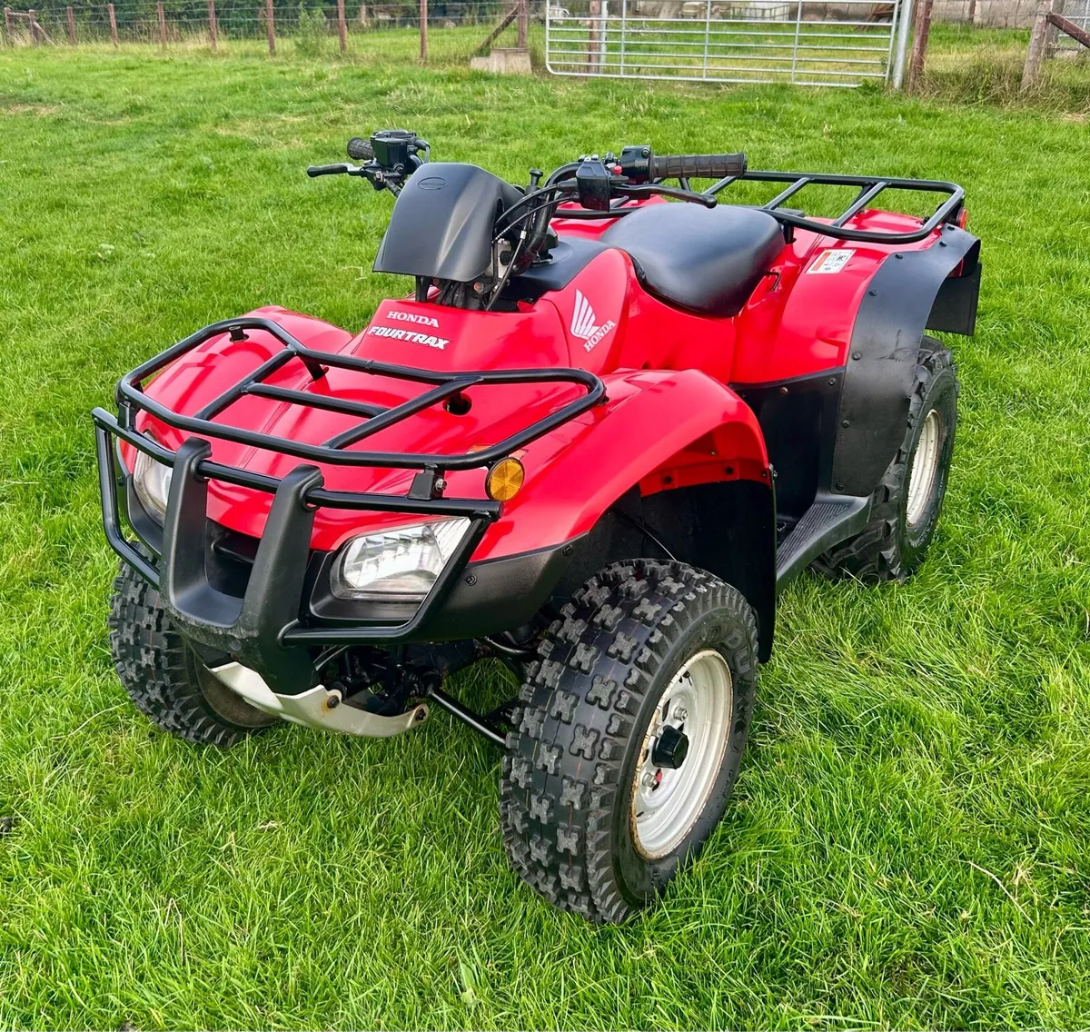 2010 Honda TRX 250 - Image 2