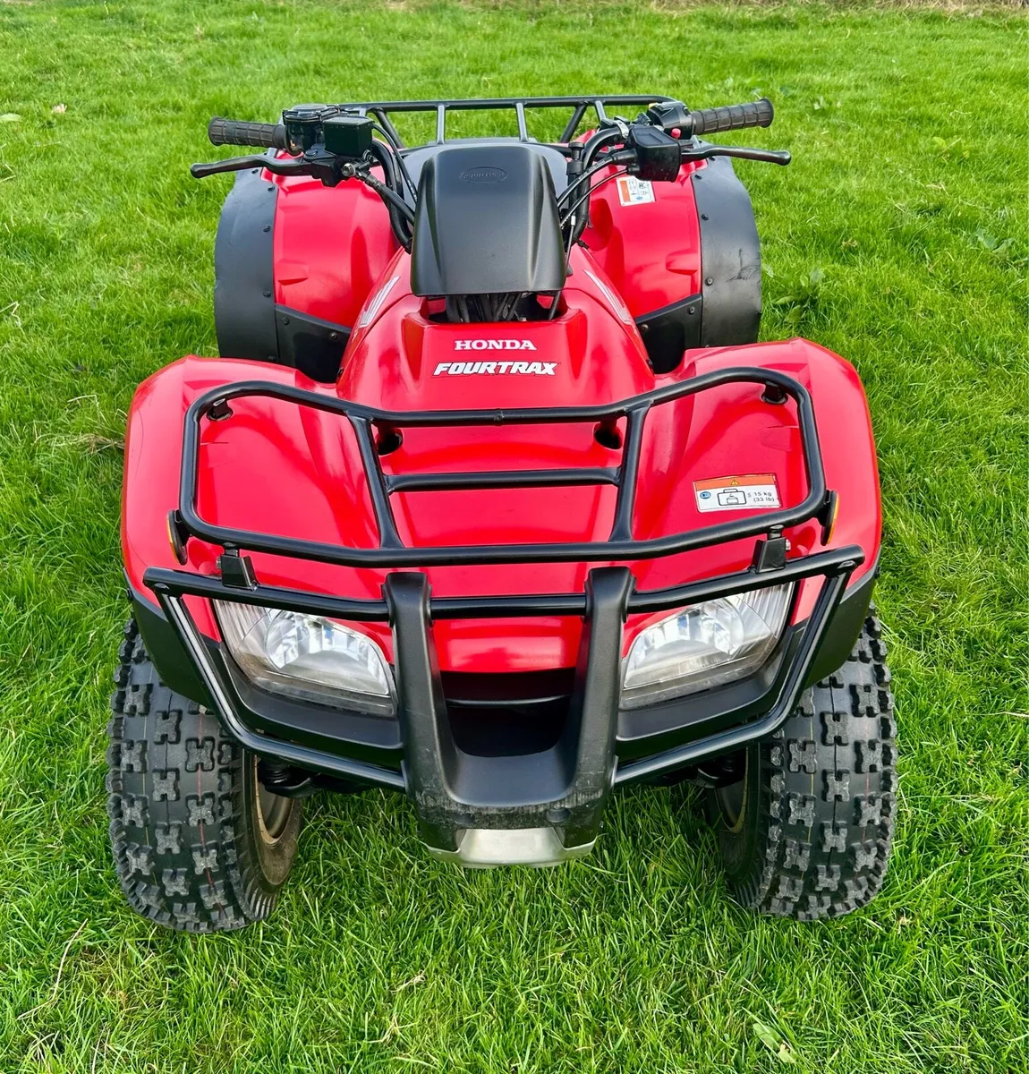 2010 Honda TRX 250 - Image 3