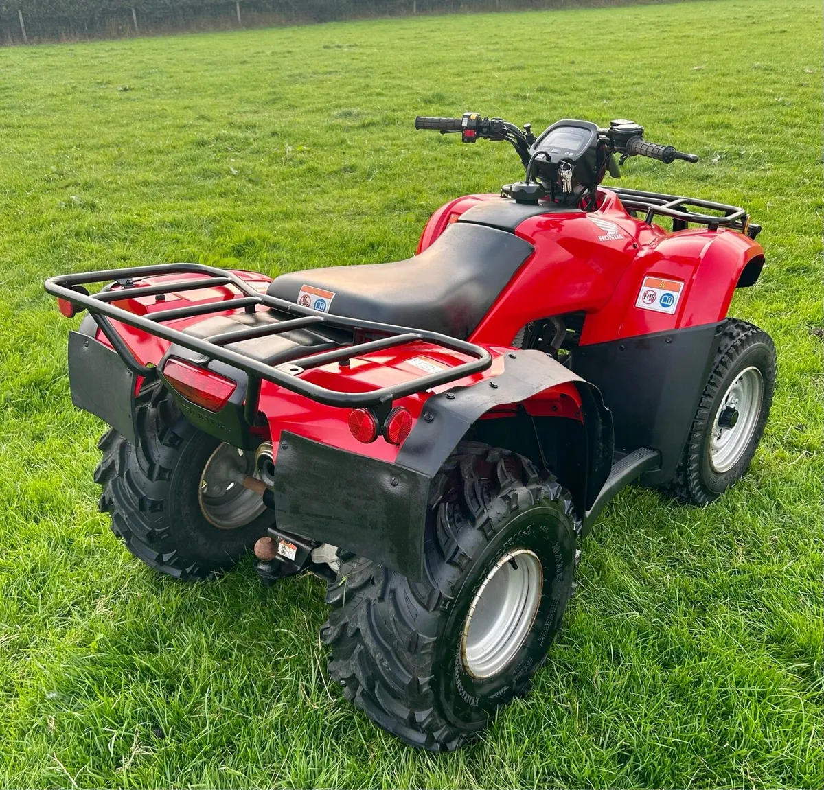2010 Honda TRX 250 - Image 4