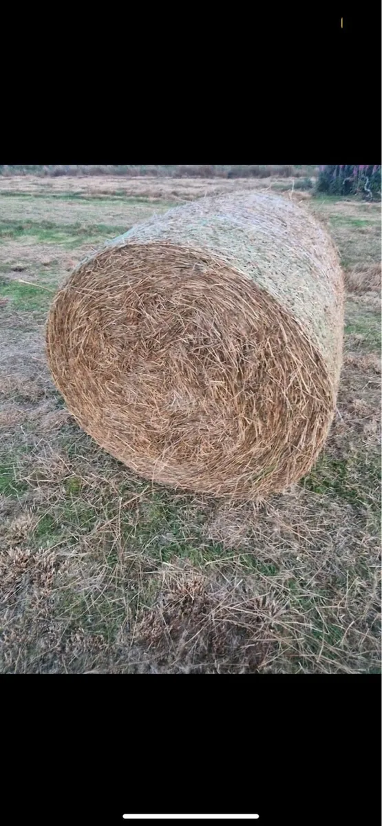110 bales of bedding €10