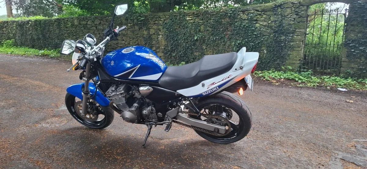 04 Bandit GSF 600 Limited Edition - Image 3