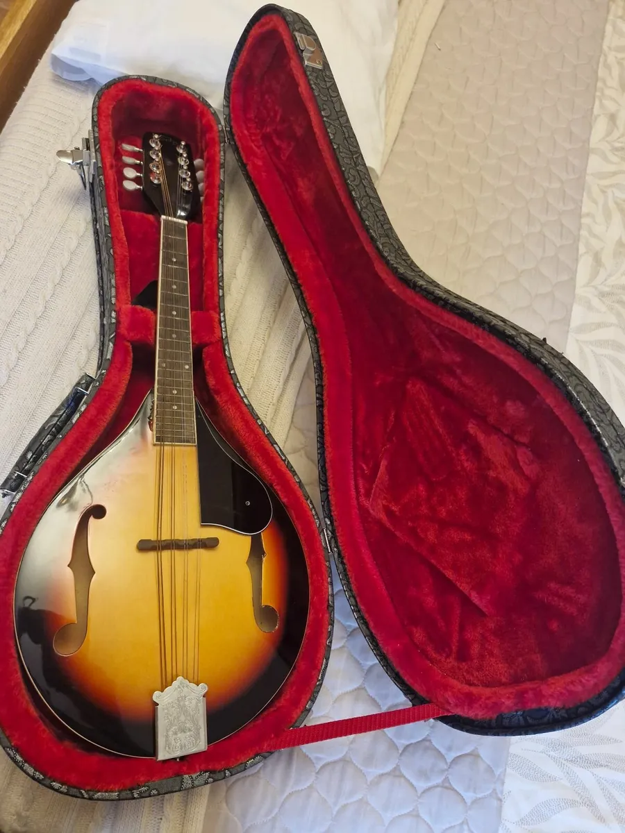 Mandolin - Image 1