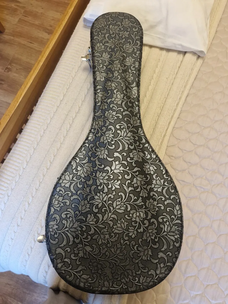 Mandolin - Image 3