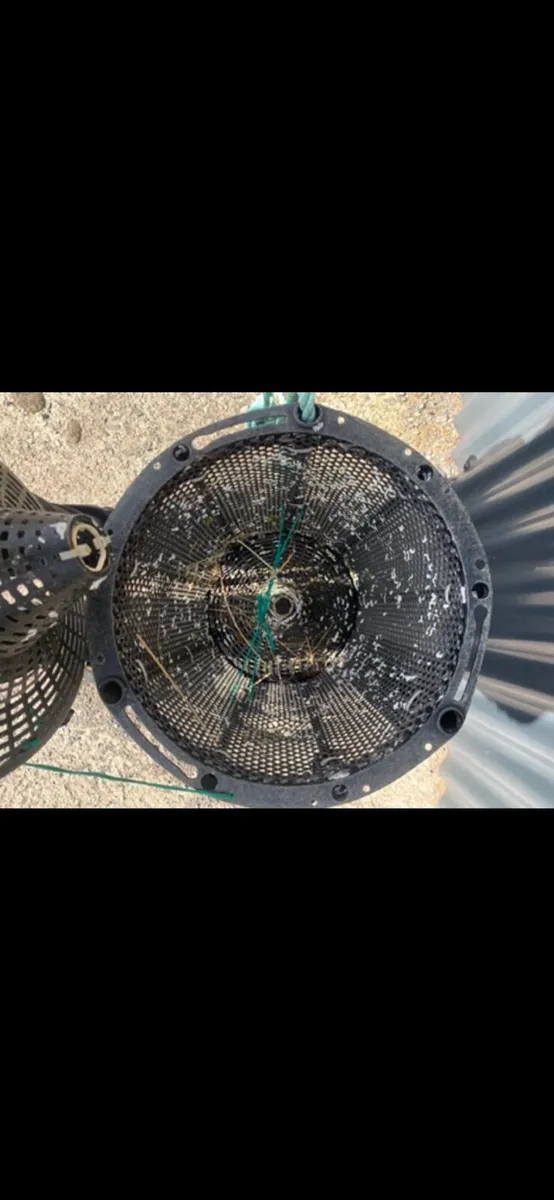 French shrimp pots - Image 2