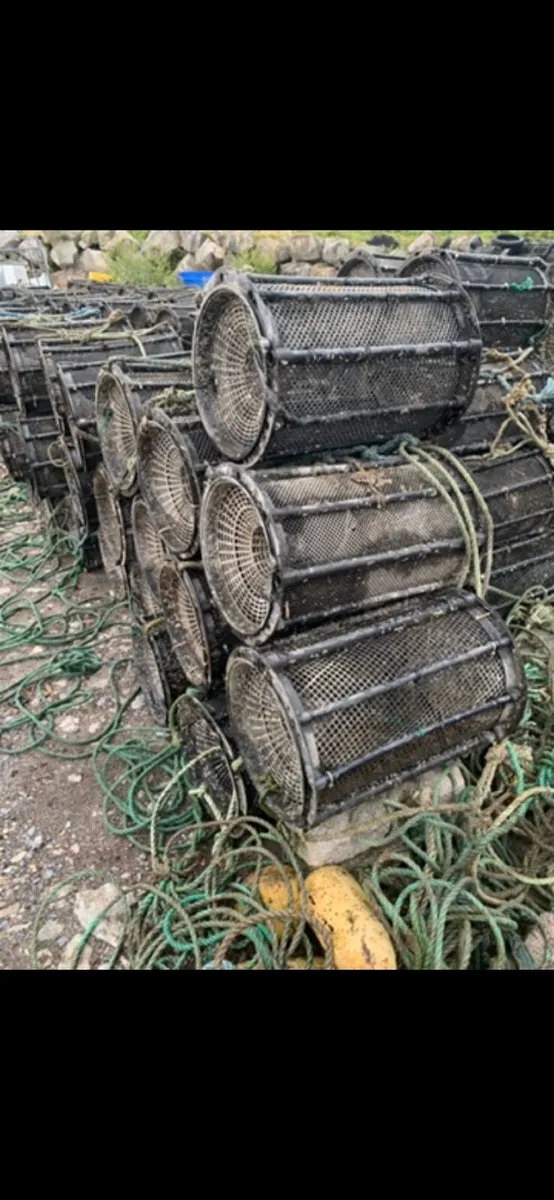 French shrimp pots - Image 3