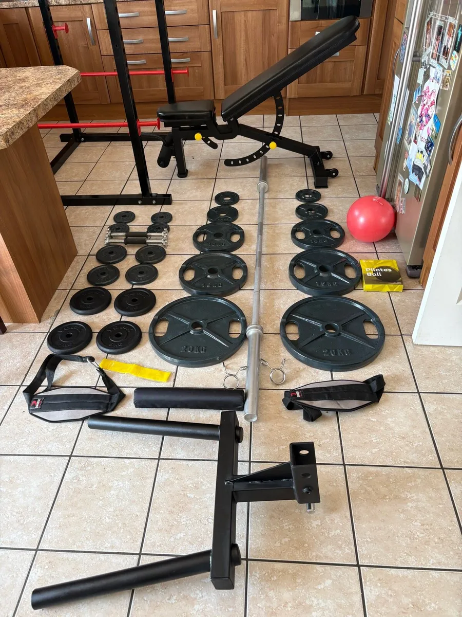 BRILLIANT GYM FULL WEIGHTLIFTING RACK TRICEP SET! - Image 2