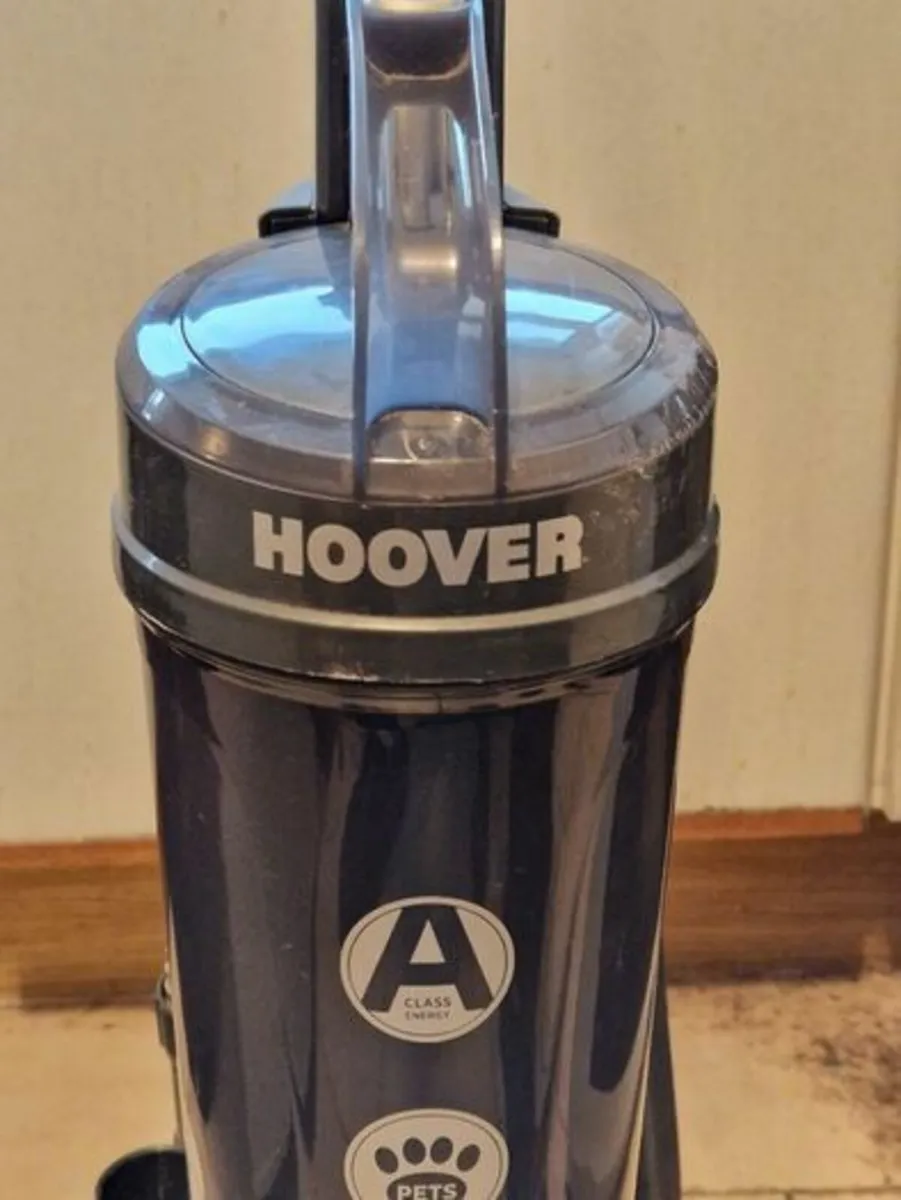 Hoover Whirlwind Evo Upright Vacuum Cleaner - Image 2