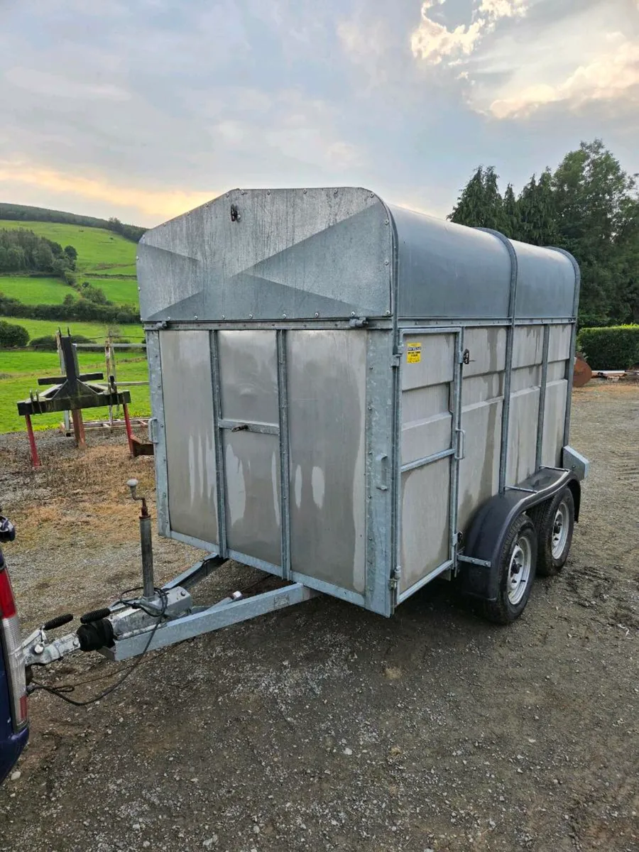 Cow box - Image 1