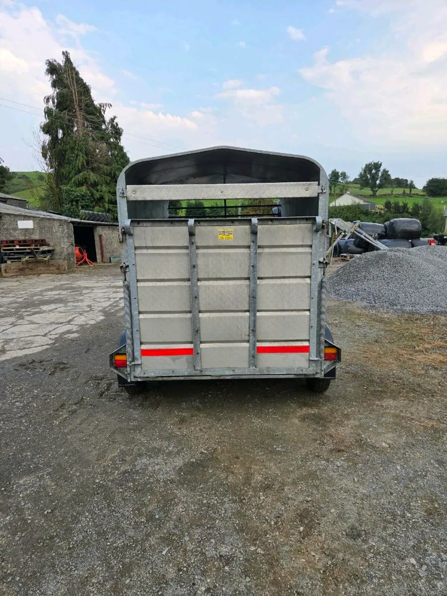 Cow box - Image 2