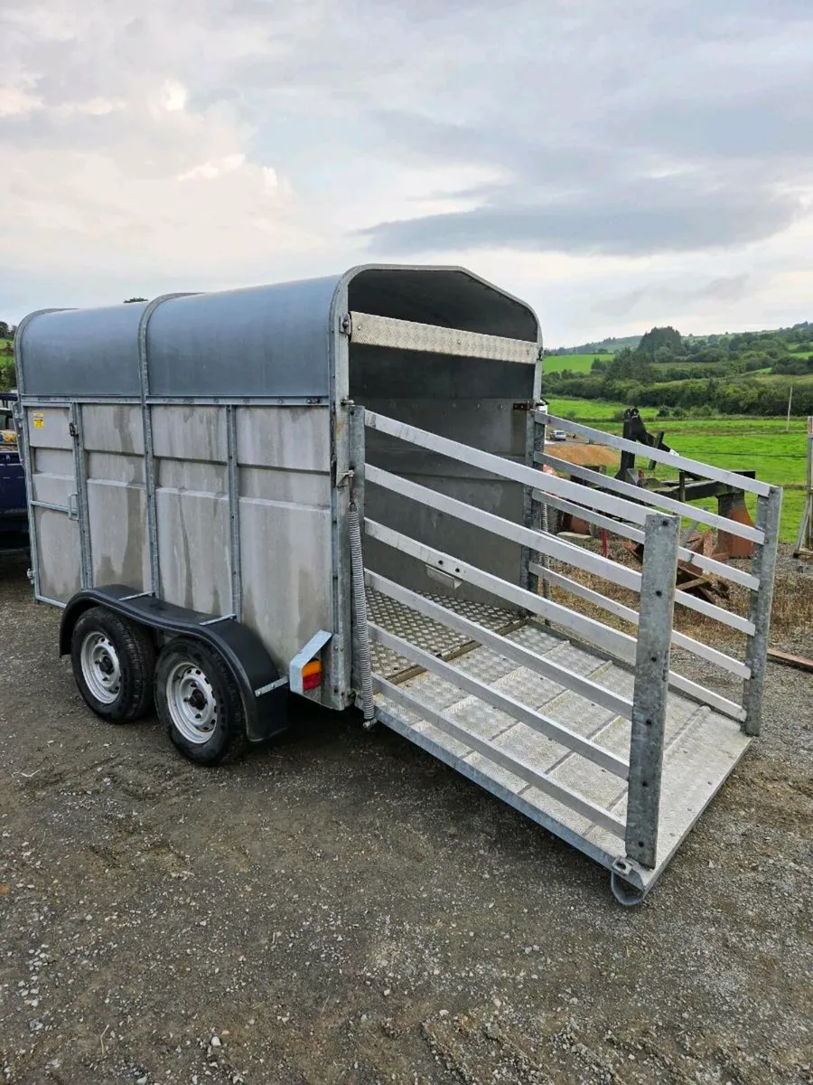 Cow box - Image 3