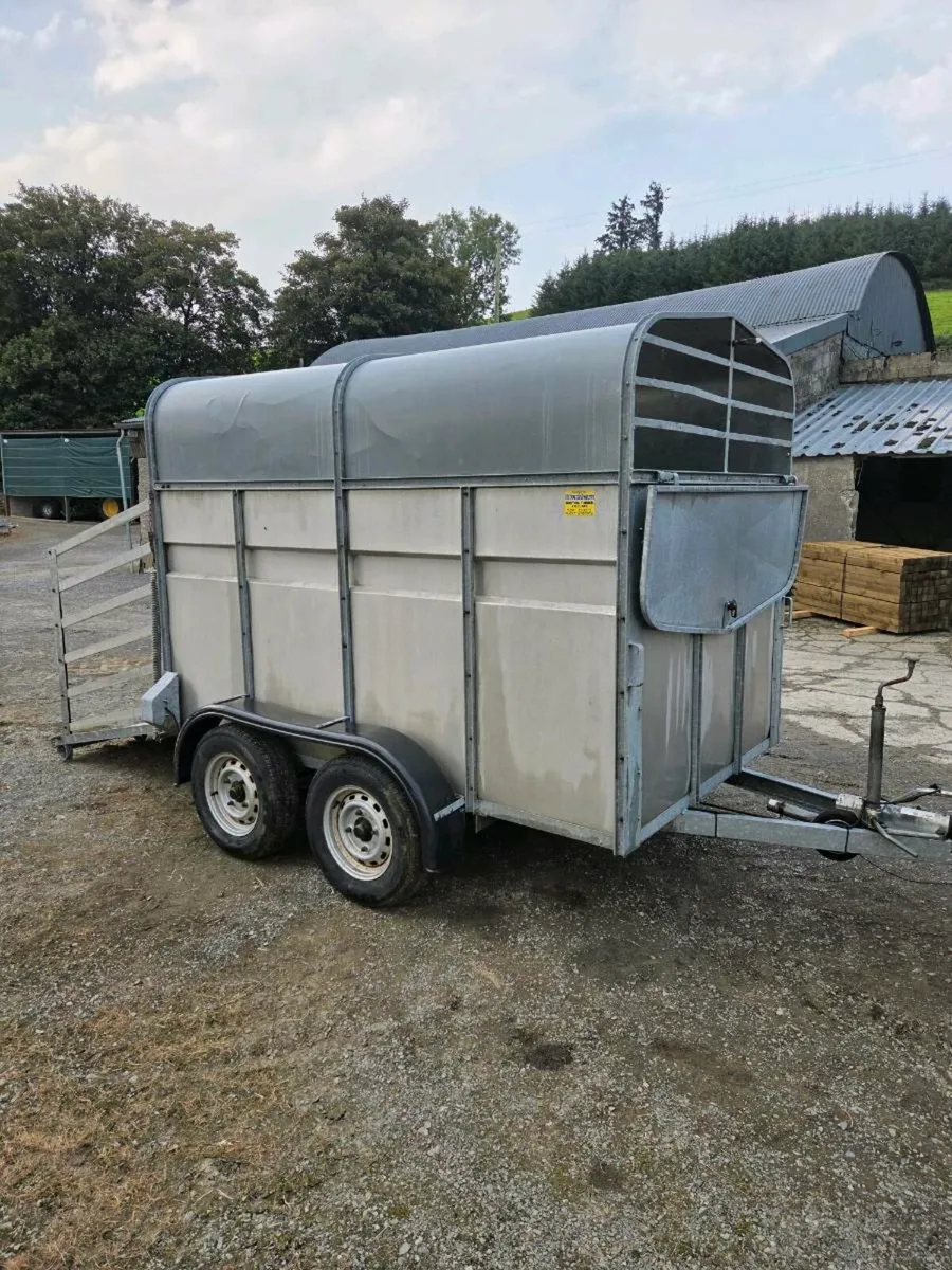 Cow box - Image 4