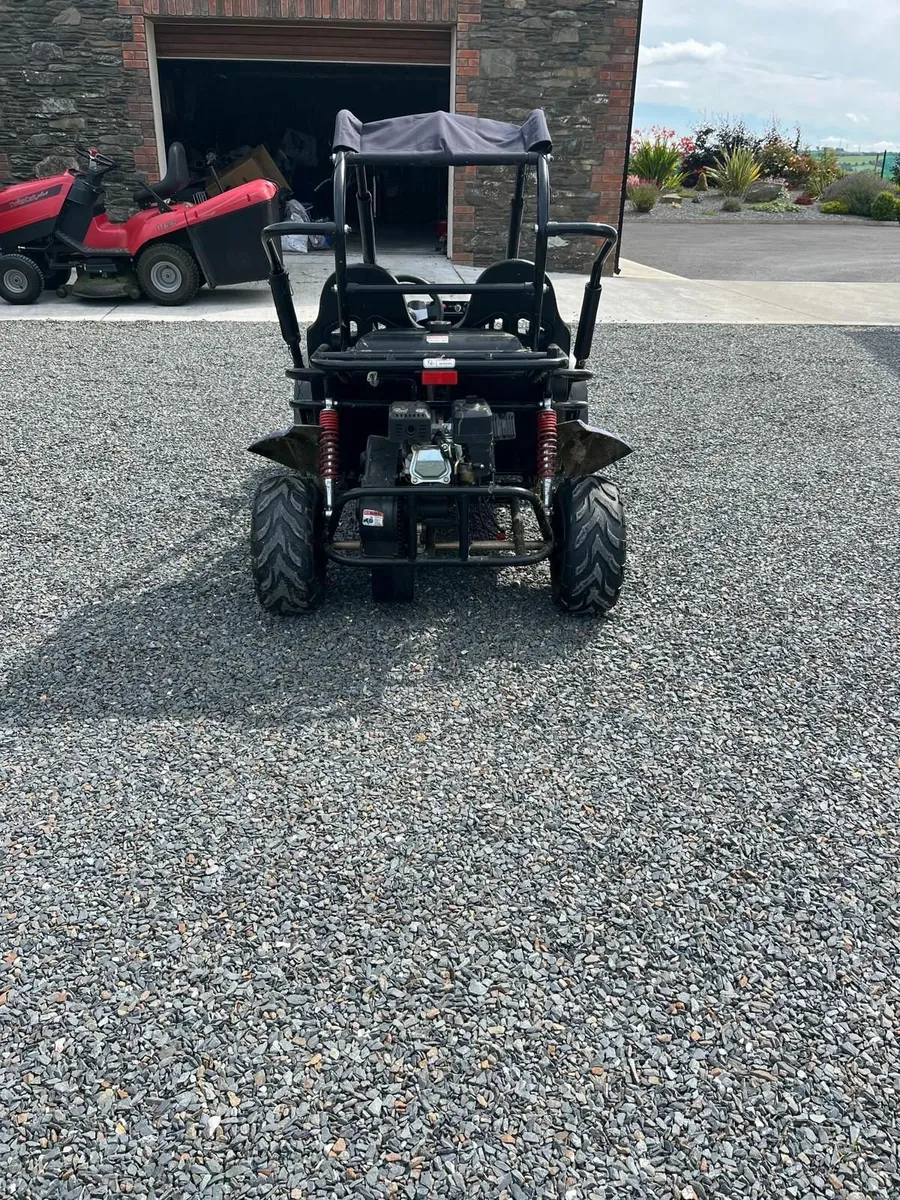Quadzilla Wolf XL Buggy - Image 4