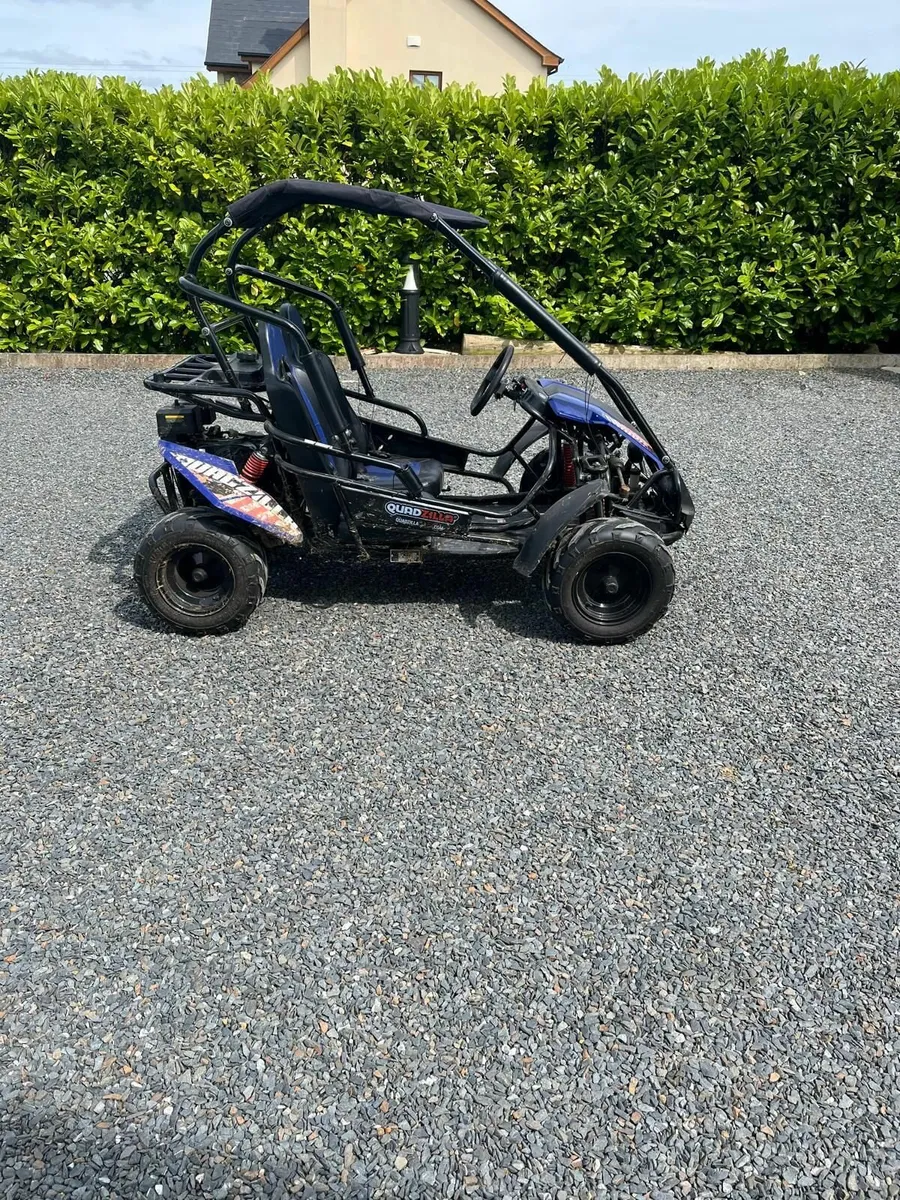 Quadzilla Wolf XL Buggy - Image 2
