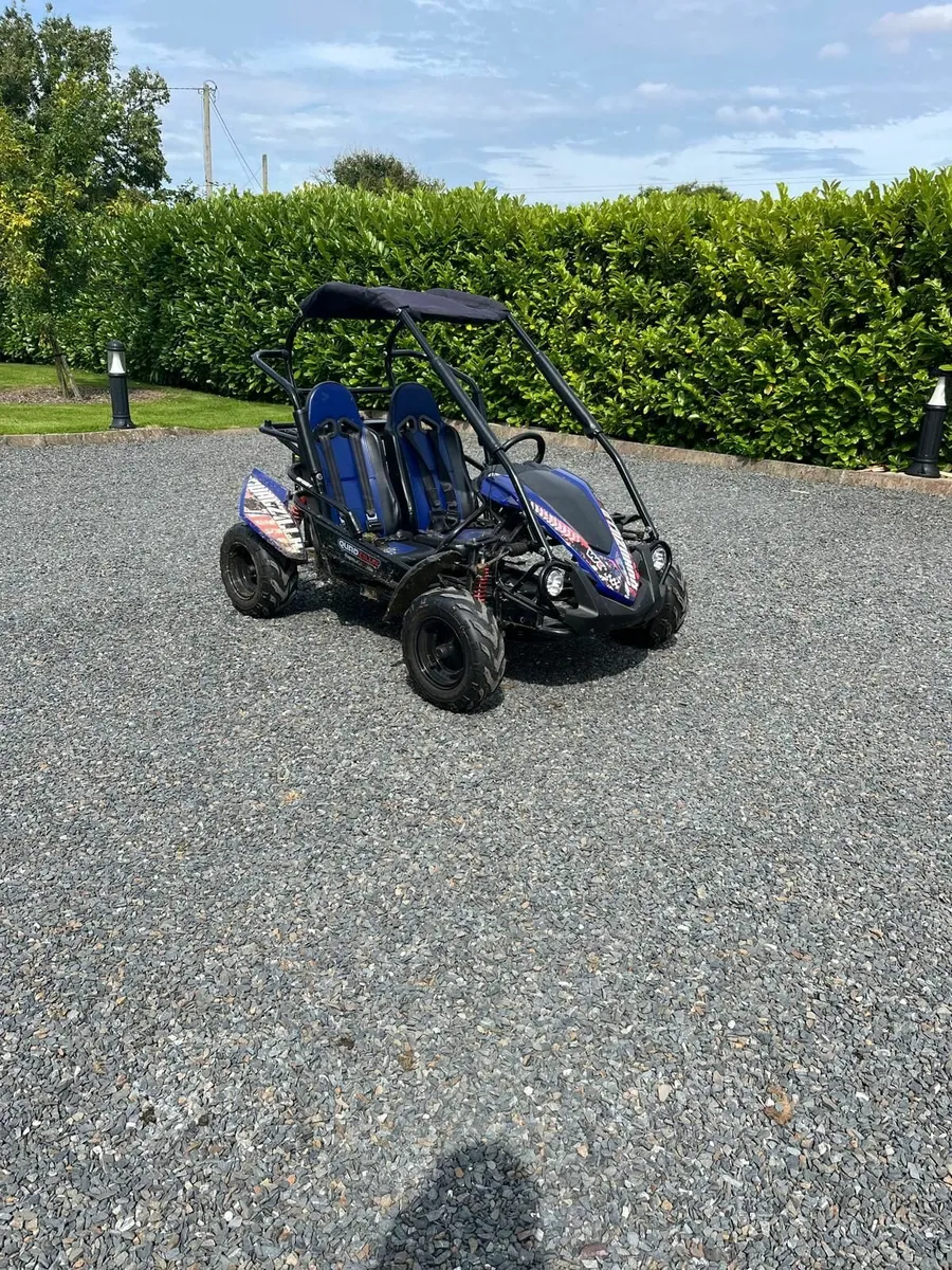 Quadzilla Wolf XL Buggy - Image 1