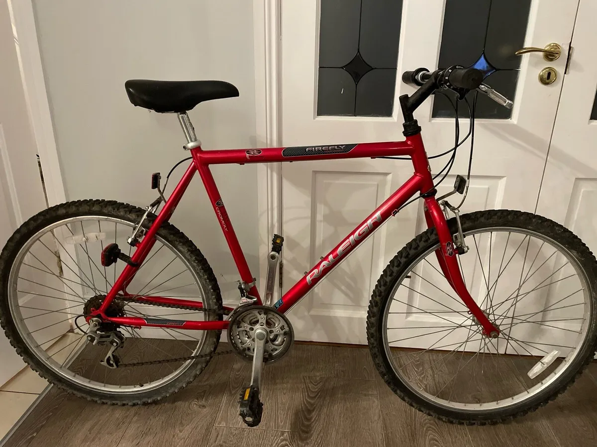 Raleigh Firefly - 26” wheels €100 - Image 1