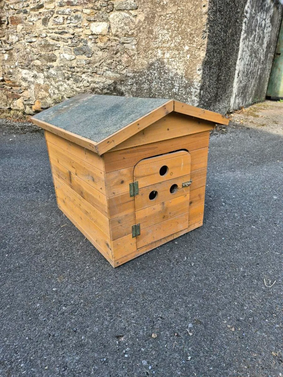 Dog House - Image 1