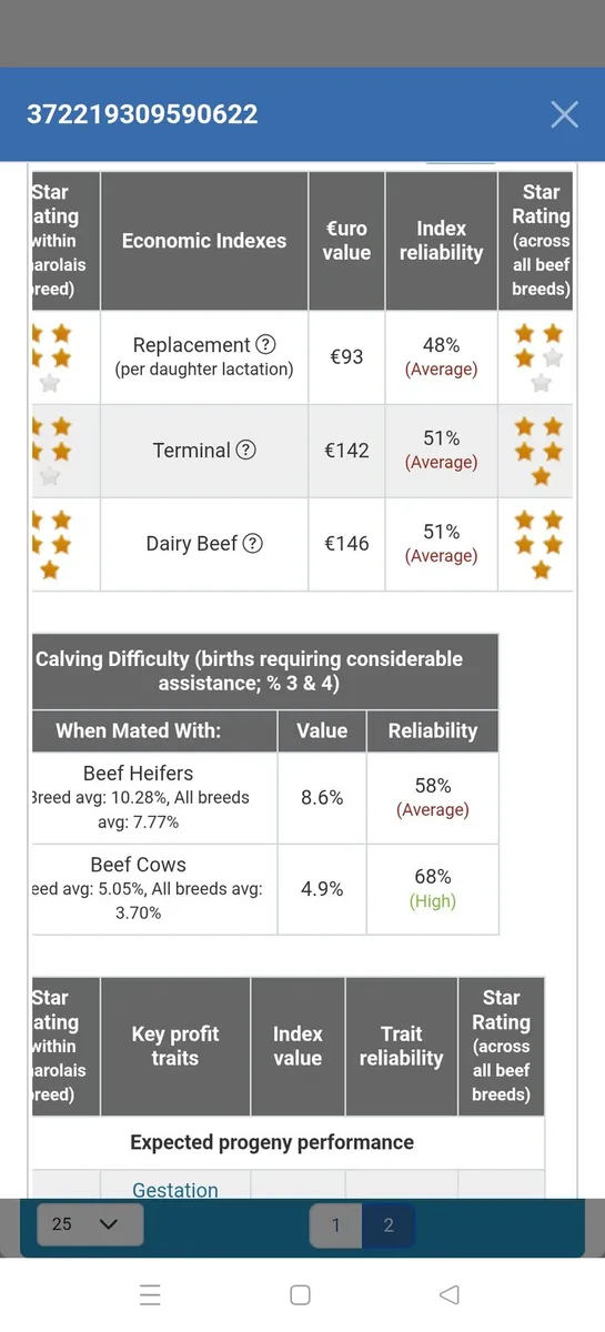 Pedigree Charolais bull - Image 4