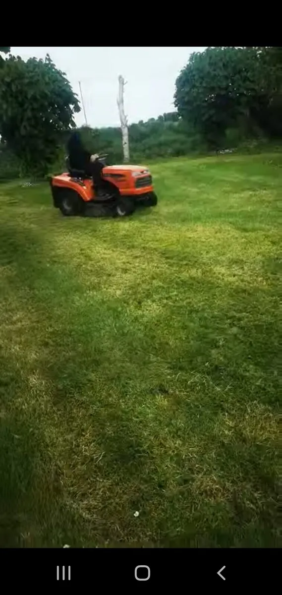 Lawnmower - Image 2