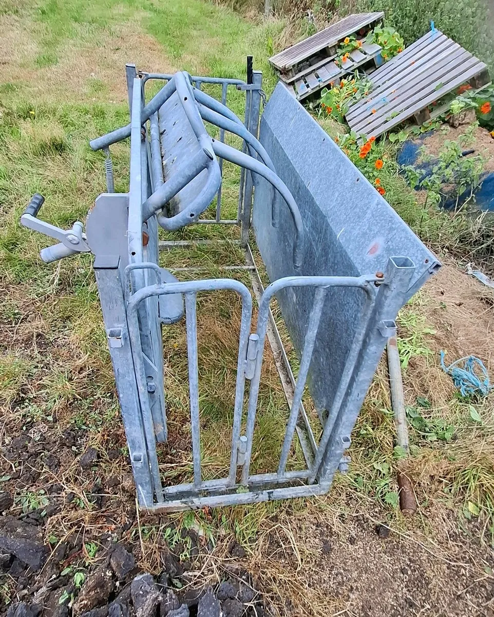 Sheep Turning Crate - Image 4