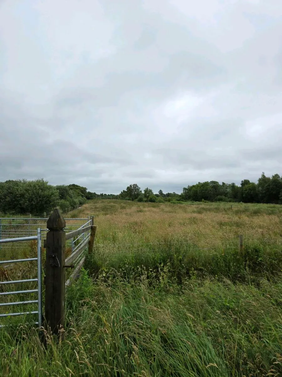 Land to rent/sale - Image 1