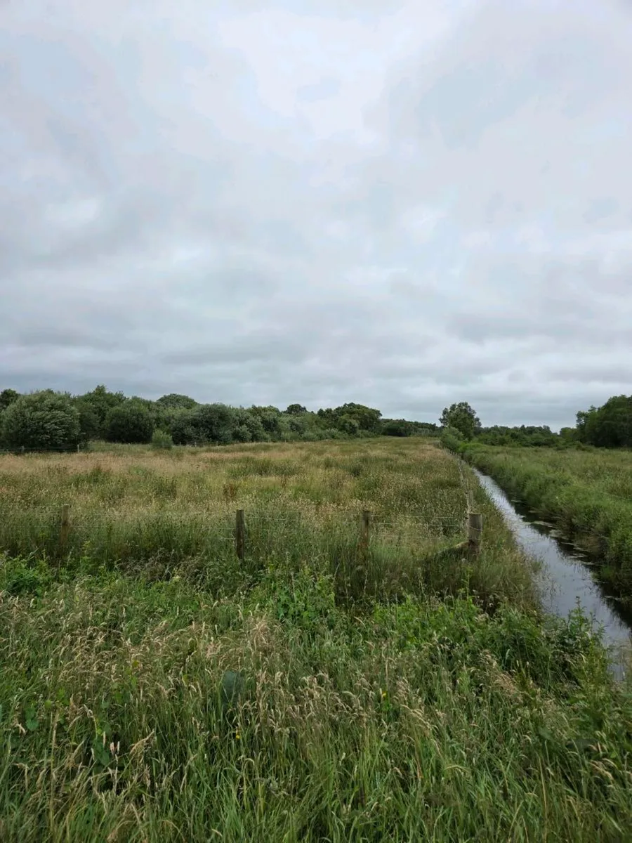Land to rent/sale - Image 2