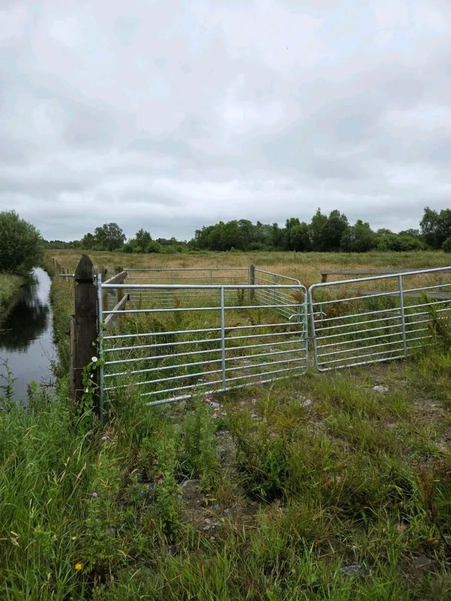Land to rent/sale - Image 3