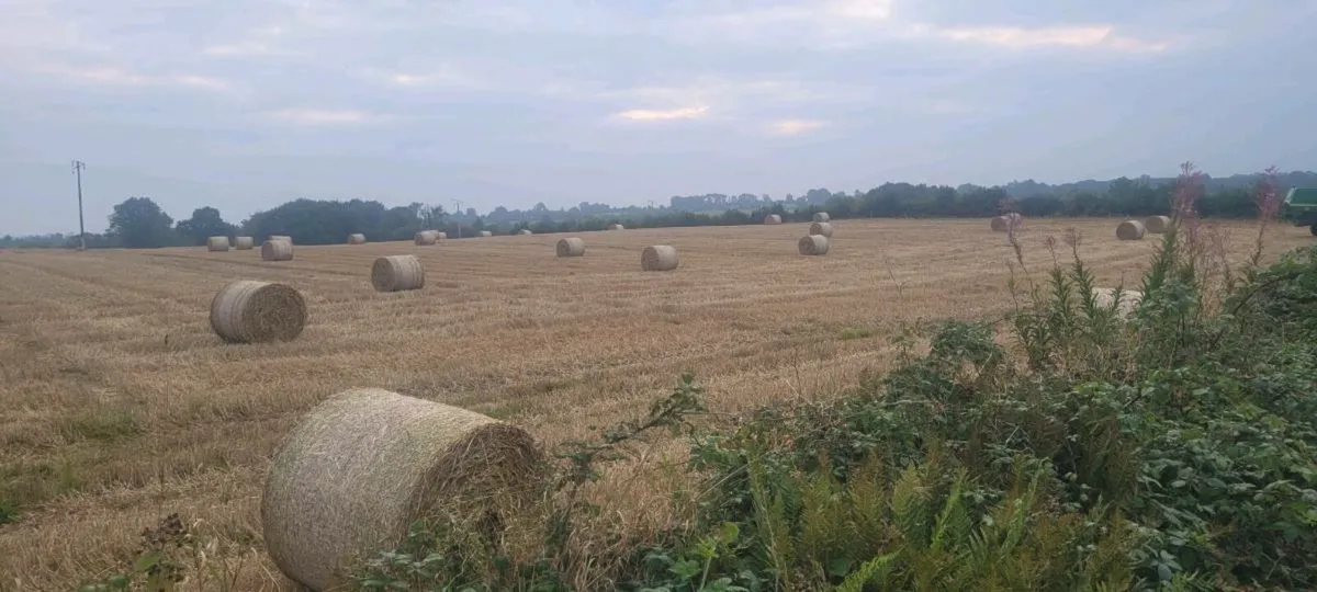 Straw