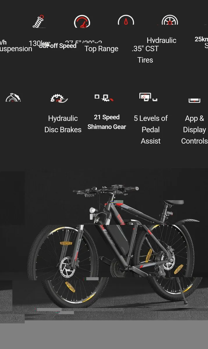 Electric bike - Image 2