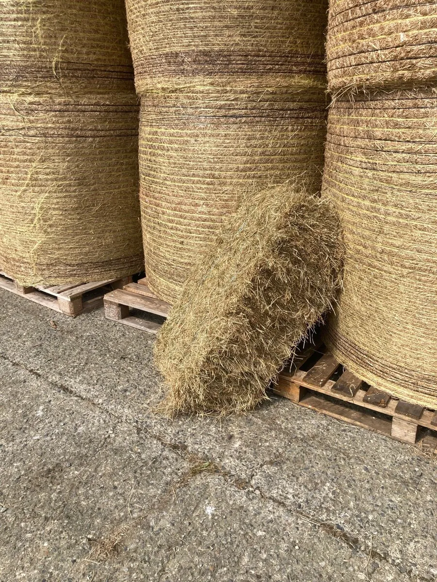 Good quality hay