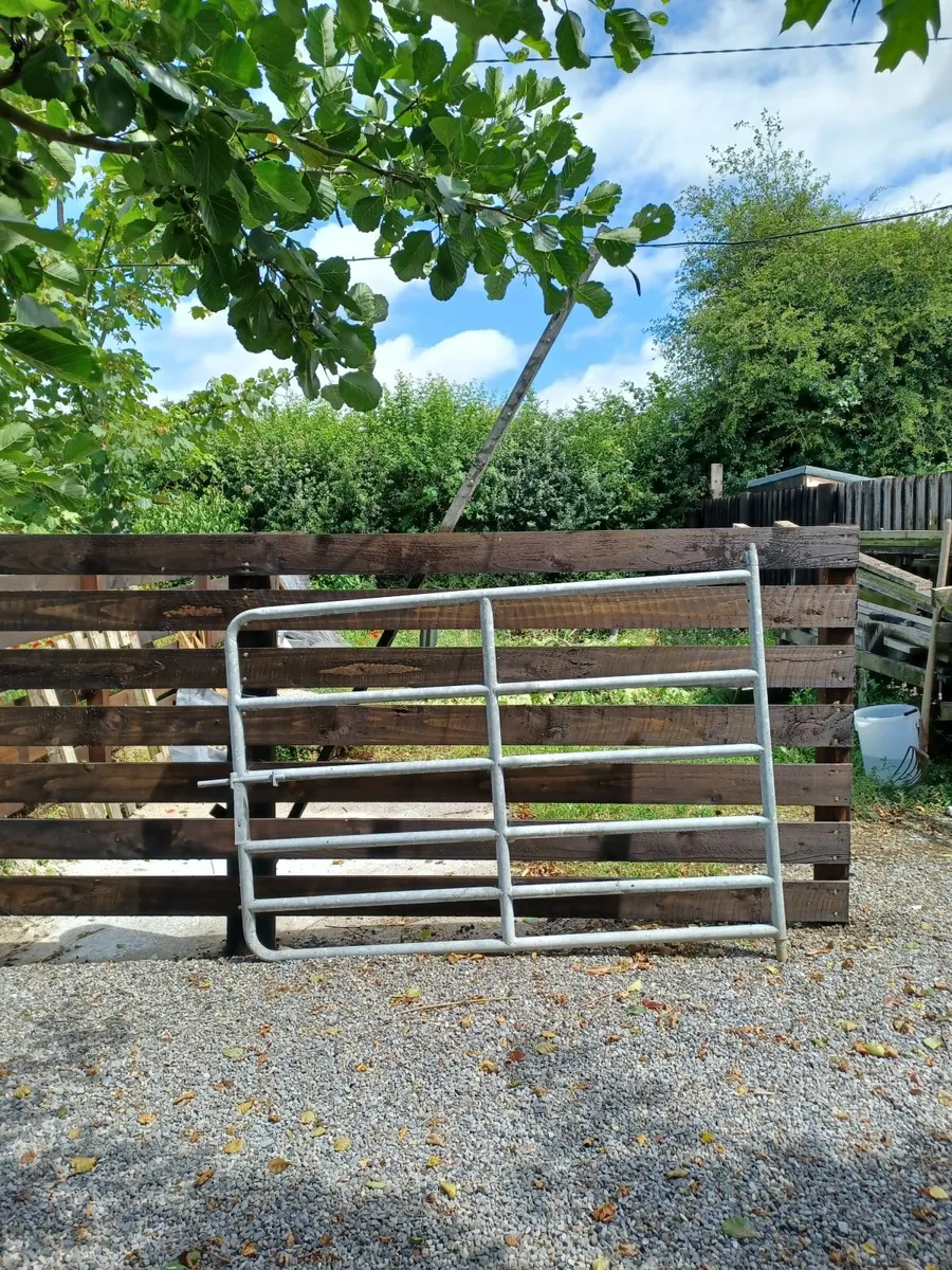 Galvanised 6'x4' gate.