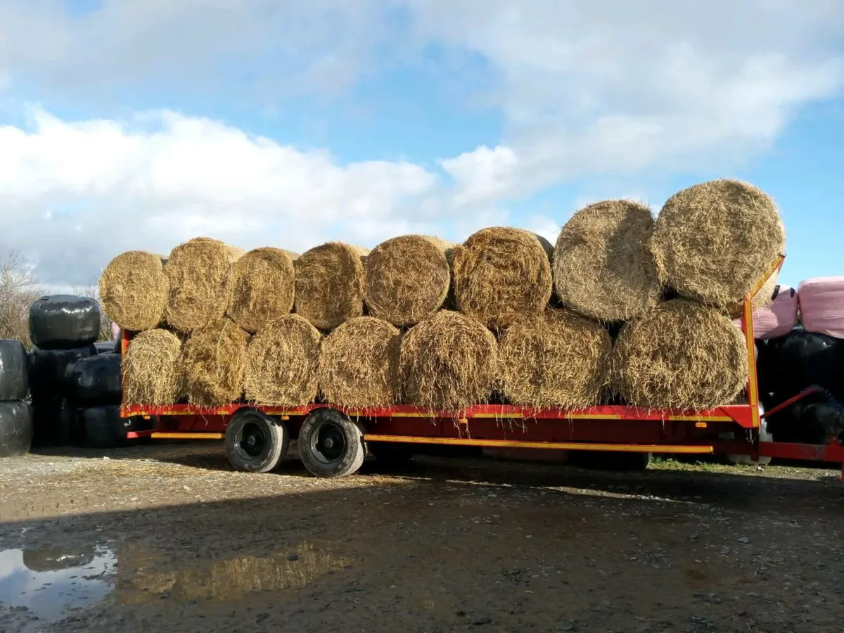 Hay and Straw for sale - Image 1