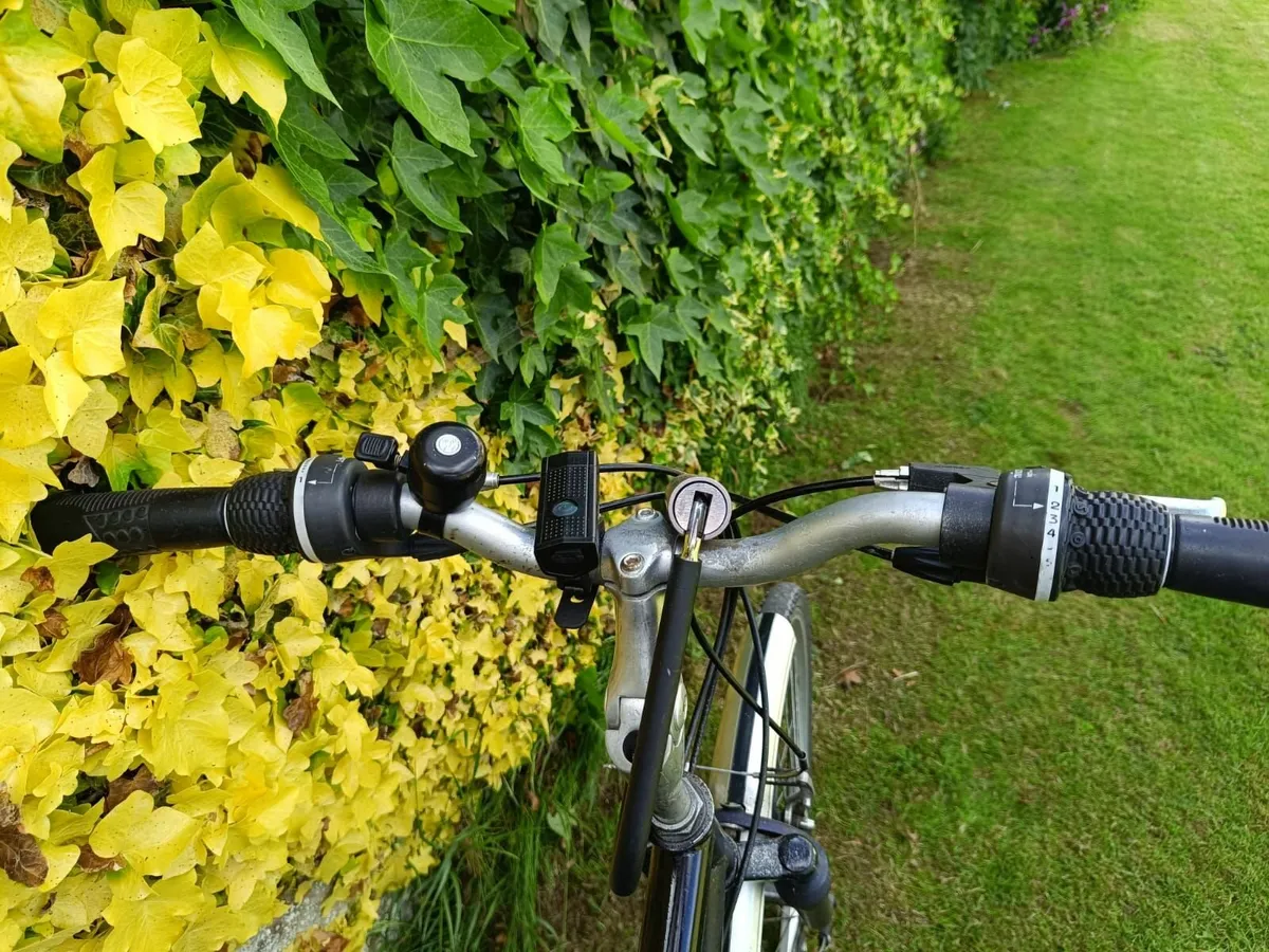 Bike for Sale - Image 2