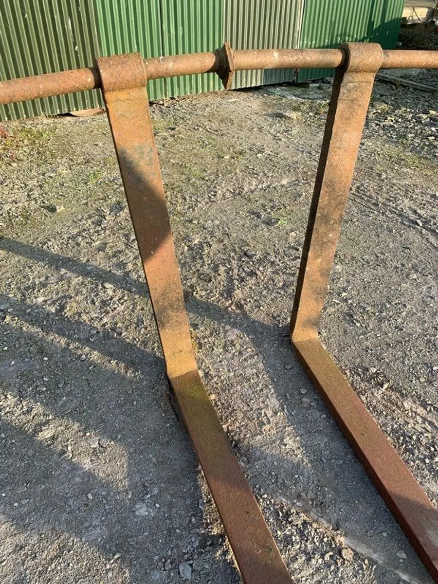 Pallet forks..gorey area - Image 1