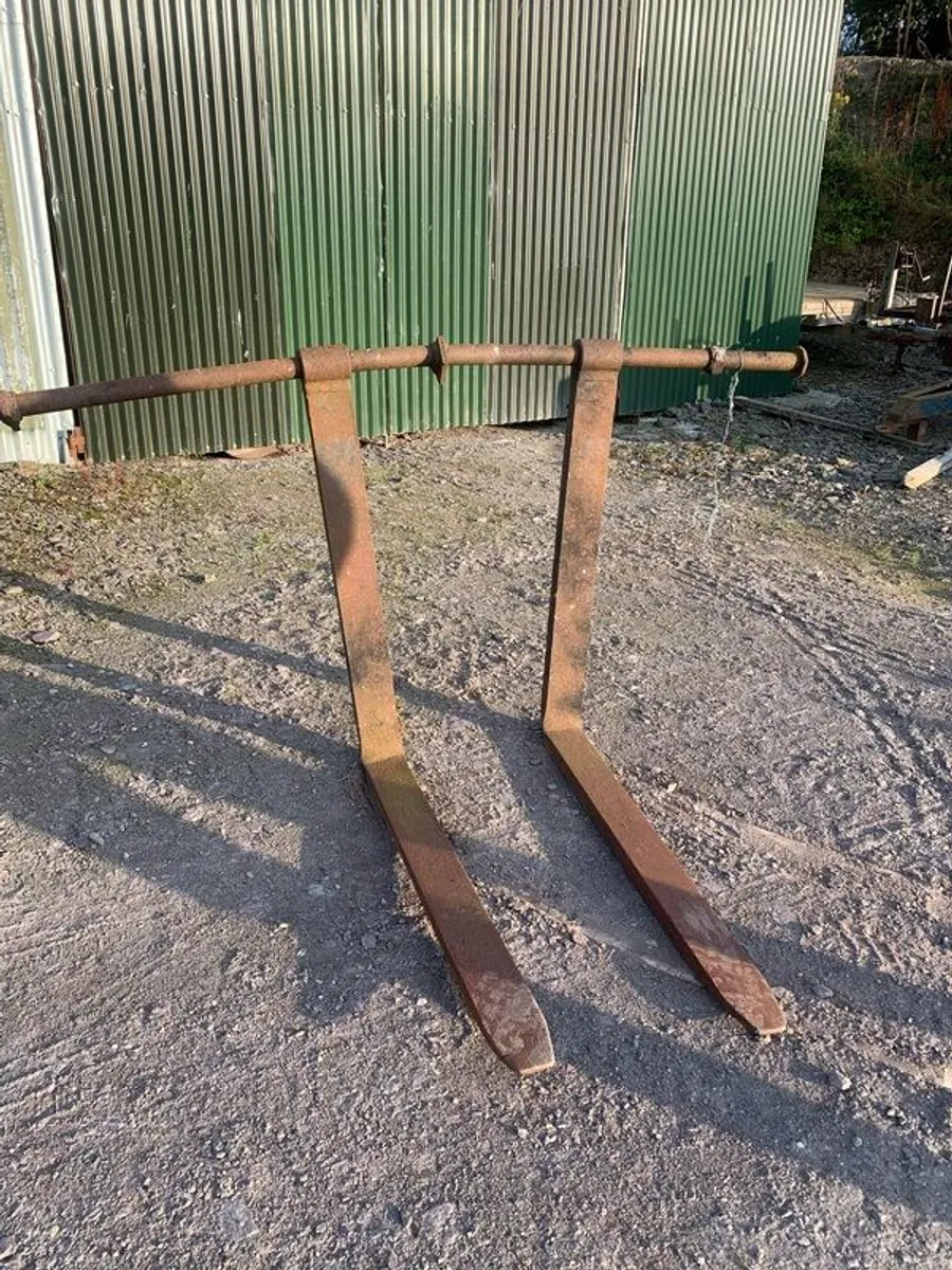 Pallet forks..gorey area - Image 2