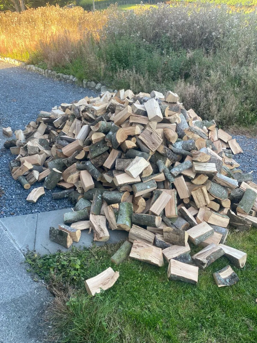 Firewood - Image 1