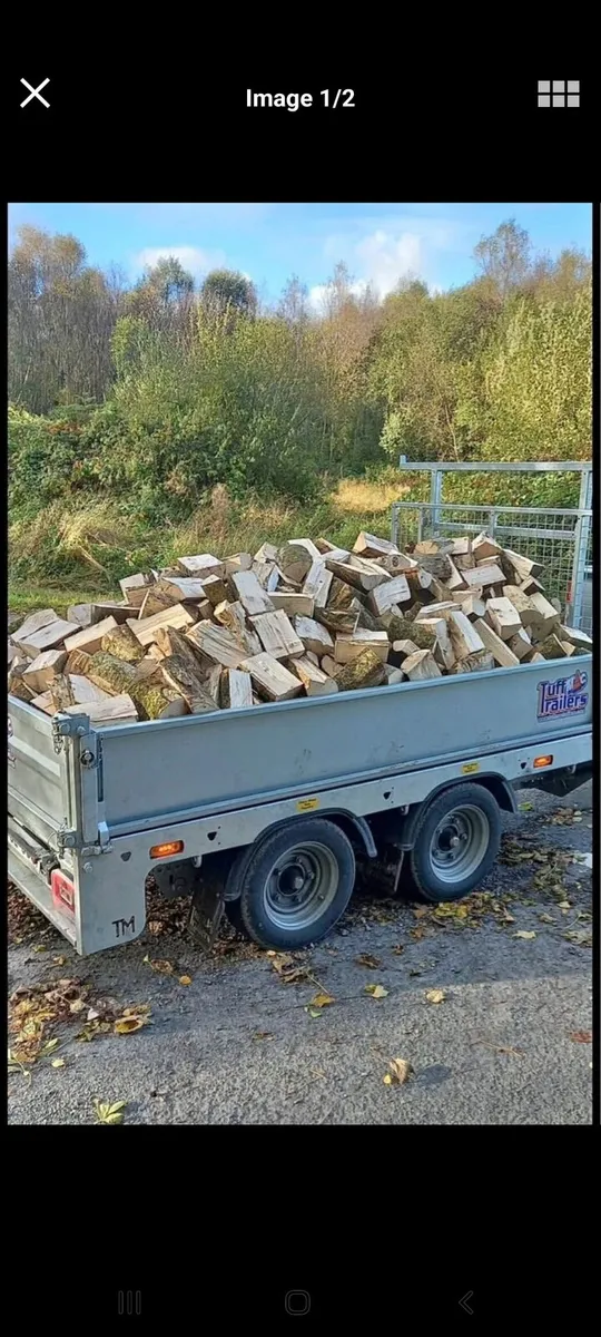 Firewood - Image 3