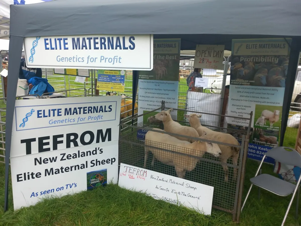Tefrom Open Day - 28th Aug - Image 3
