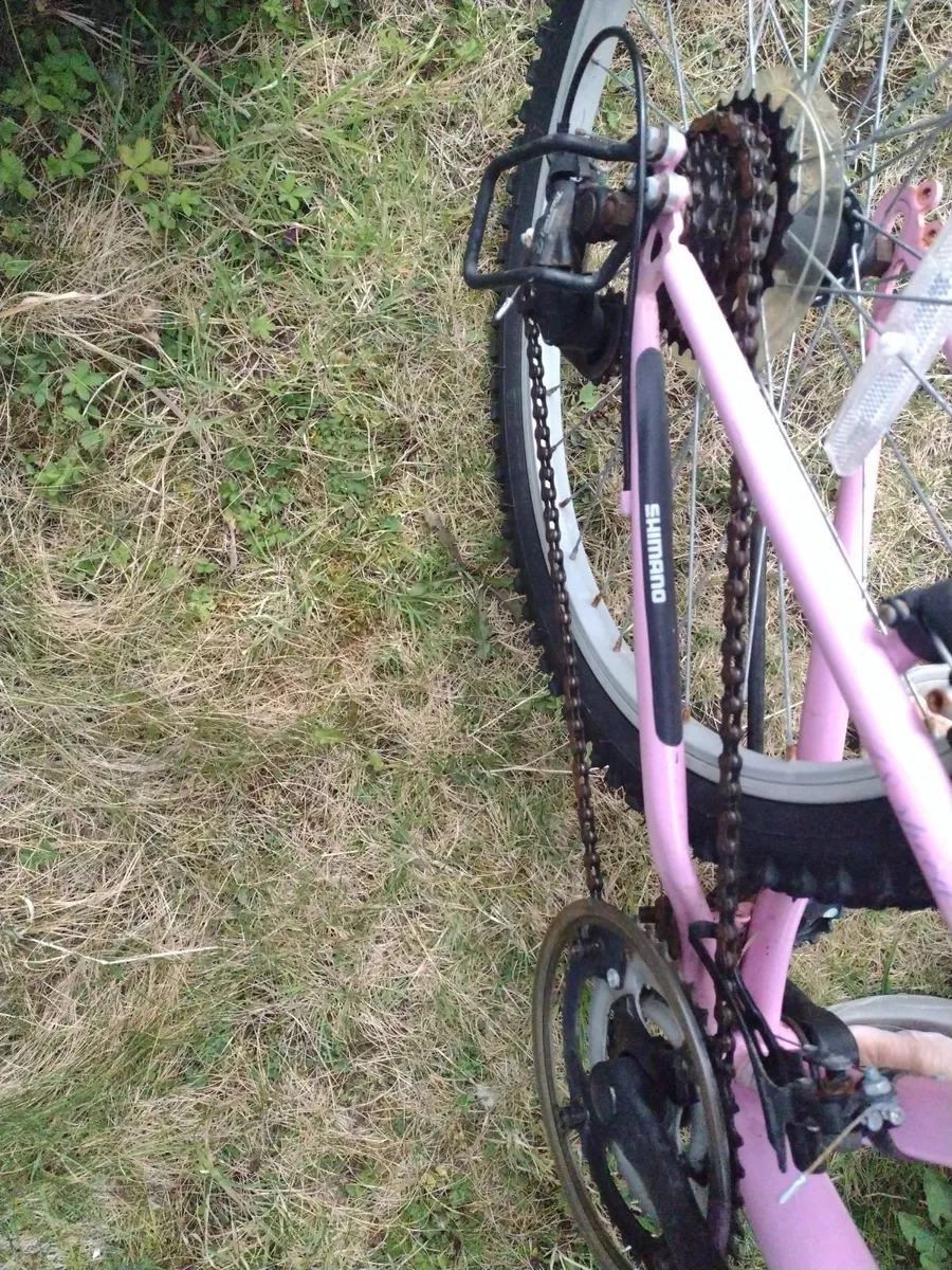 Mountain bike Monaco 24 front suspension - Image 3