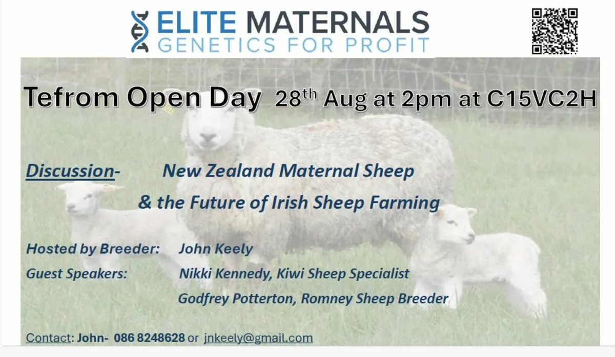 Tefrom Open Day - 28th Aug - Image 1