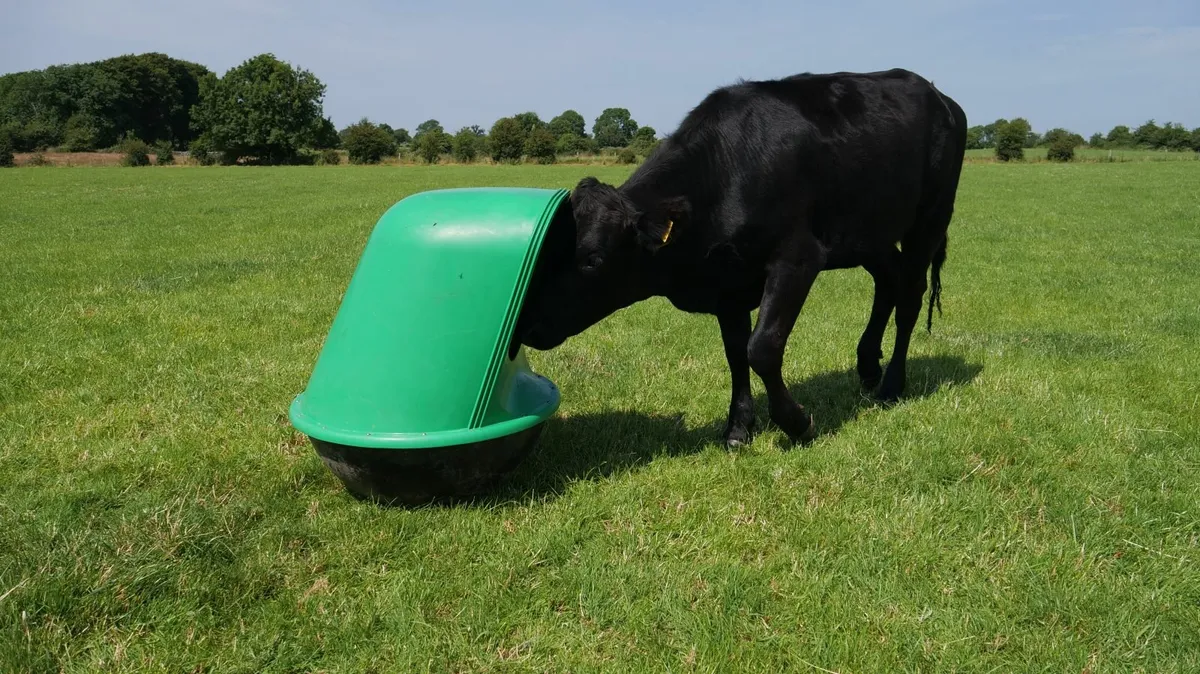 Rocker Mineral Feeder - Image 3