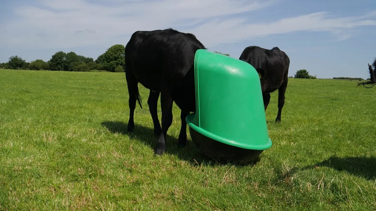 Rocker Mineral Feeder - Image 4