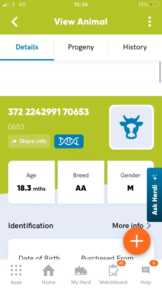 AA Bull - Image 3