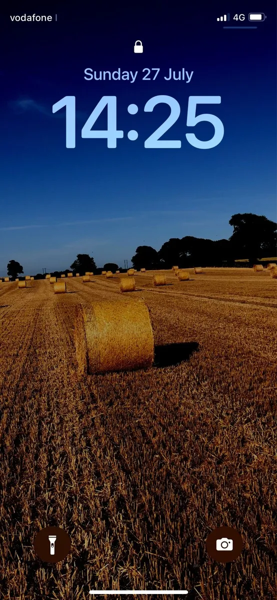 Spring Barley and Rye Straw for Sale