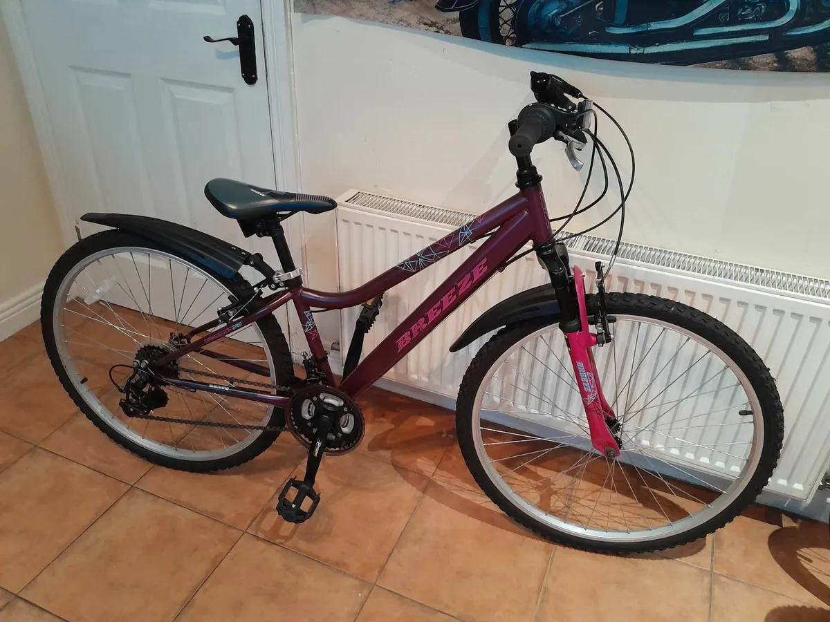 Bicycle - Image 4