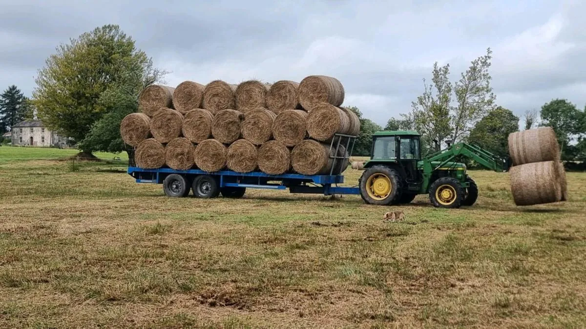 Hundreds of good bales of green hay - Image 3