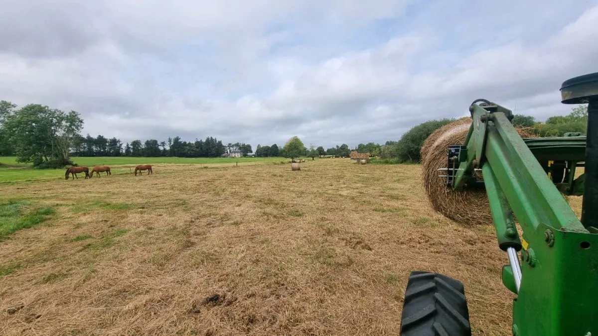 Hundreds of good bales of green hay - Image 4