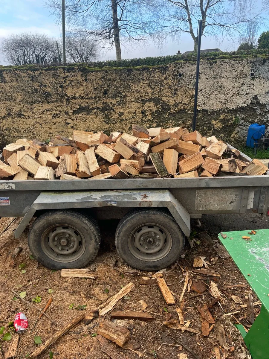 Firewood - Image 1