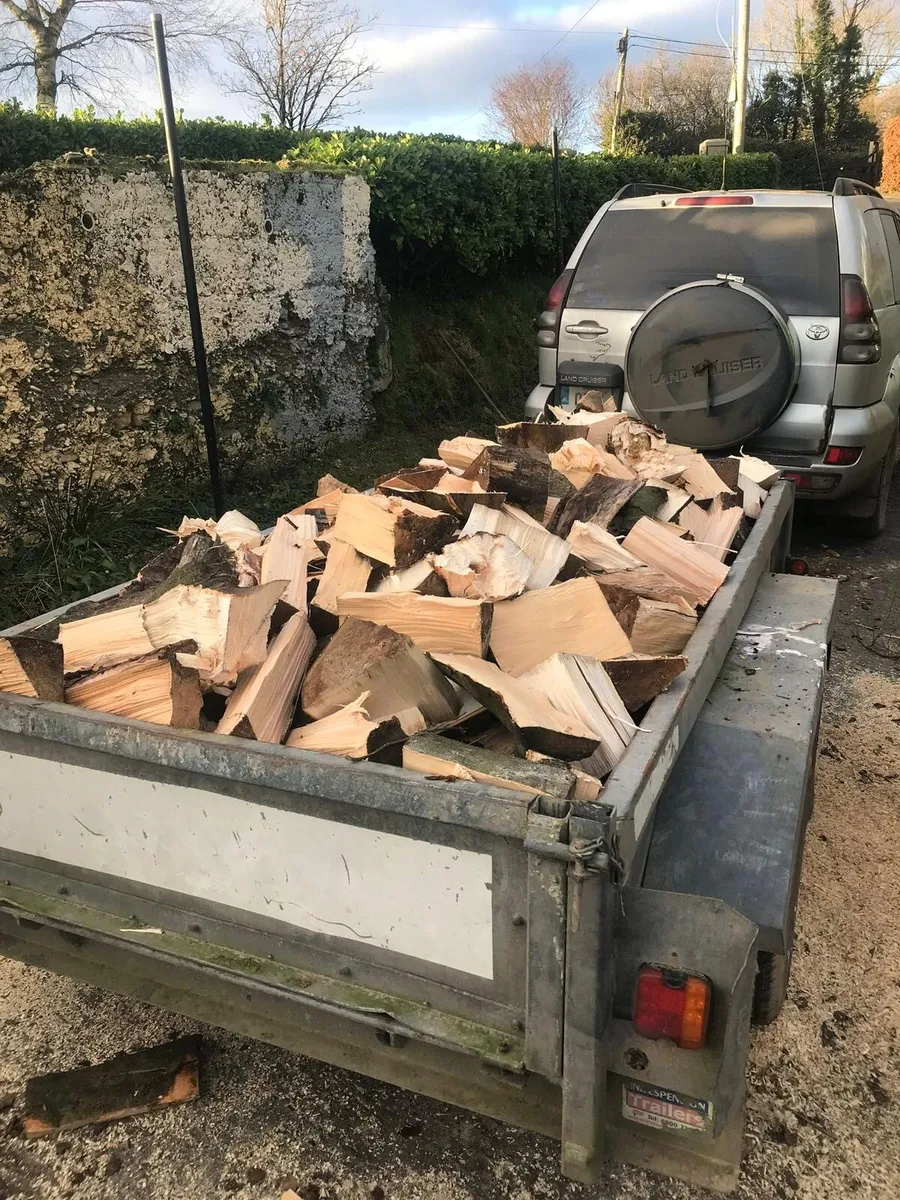 Firewood - Image 2